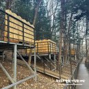 불루캠핑장 이미지