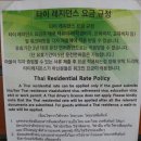 그린벨리 이미지