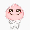 사자카 이미지