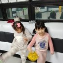 금강 인성 태권도장 이미지