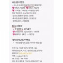 HJ속눈썹