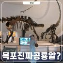 아이유건설 | 목포 자연사박물관 한국에서 공룡알이 나왔다고? 직접 다녀옴