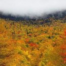 Way up to Smuggler’s Notch, Vermont, USA 이미지