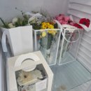 임블링네일 - 군산시 | [w-4.5] 광주 헤이허니 1호점 웨딩 촬영 후기 + 웨딩촬영 준비 (웨딩촬영 시안 공유, 순천 웨딩촬영...