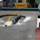 한국지반구조 이미지