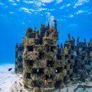 산호를 위한 '부동산': 스위스 조직, 예술과 기술로 인공 산호초 건설 이미지