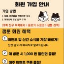 잼툰