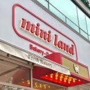 이n바이 | 파주 미니랜드 mini land # n번째 방문한 파주 디저트카페 두바이쫀득쿠키 두바이 디저트 맛집