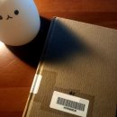 기억과 흔적이 스러져가는 시간 -해질 무렵(황석영) 후기