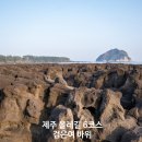 제주올레하우스 | 제주 올레길 추천 6코스 검은여 바위, 백록정 그리고 허니문 하우스까지 걸어본 후기