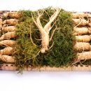 풍기인삼사 이미지