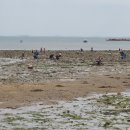 왜목마을관광지 이미지