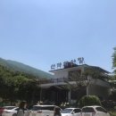 사파동314 이미지