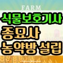종묘사 이미지