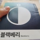 원두잇 블랙베리 원두 구입 후기