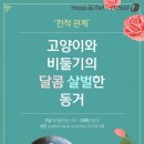 비둘기집 이미지