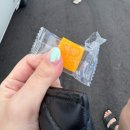 제주이서 | 제주 한림 맛집 금능제면소 후기 | 보말칼국수 제대로 즐기기