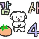 애니핸즈아카데미 - 507874 | 애니핸즈아카데미