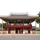 금성관광주
