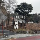 고매로43번길 | 용인애견운동장 테일45ㅣ5천평 초대형 강아지놀이터 프라이빗 대관 후기