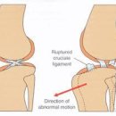 이지 동물병원 이미지