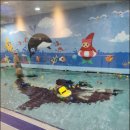 망고키즈수영장(화명본점) 이미지