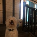 이소리111 멍펜션 이미지