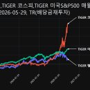 단비헬스케어