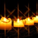 대림초등학교 이미지