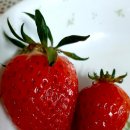 킹스베리 이미지