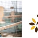 새동네농장 이미지