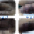 맨돌핀비뇨의학과의원 이미지