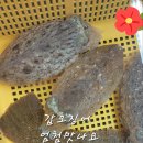 천금호 이미지