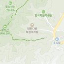 보성다향제 여행정보 이미지