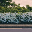 감산리 사무소 이미지