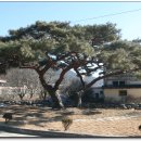 대흥초등학교 이미지