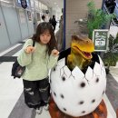 후쿠이는 마에다 리쿠에게 감사해 🦖🐈‍⬛🐹