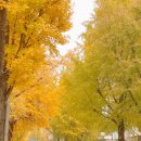 세븐일레븐 종로창성점 이미지