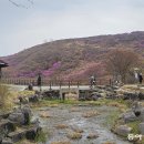 황매산가든 이미지
