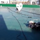 다윗액션스쿨 이미지