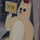 [대외활동] APOC X 삼성물산 서포터즈 | XR 체험 전시 후기