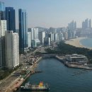 한일오르듀 이미지