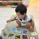 스콜라유치원 | 18~36개월 스콜라몬테소리 센터 솔직 후기 모음