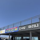 장사항 마리나 속초 요트 체험 후기 속초 데이트 코스로 강추