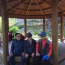 어여가세 이미지