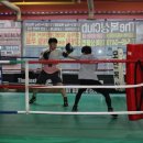 The 복싱클럽 이미지