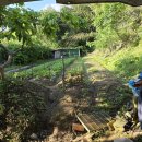 중원농장 이미지