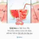 7월 22일(월) 여름의 마지막 절기 大暑 이미지