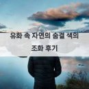 색조화_ | 유화 속 자연의 숨결 색의 조화 후기