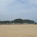 화진포해수욕장 티스토리